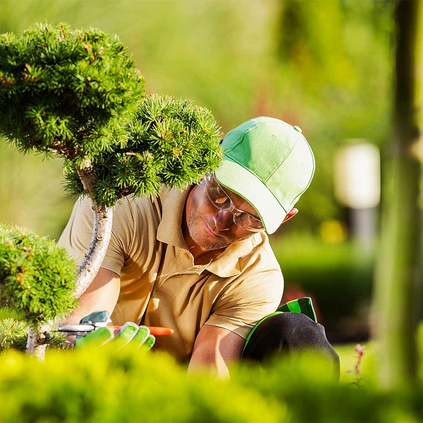 highupness.shop-iletisim