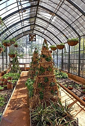 kis-bahcesi3 kis-bahcesi3